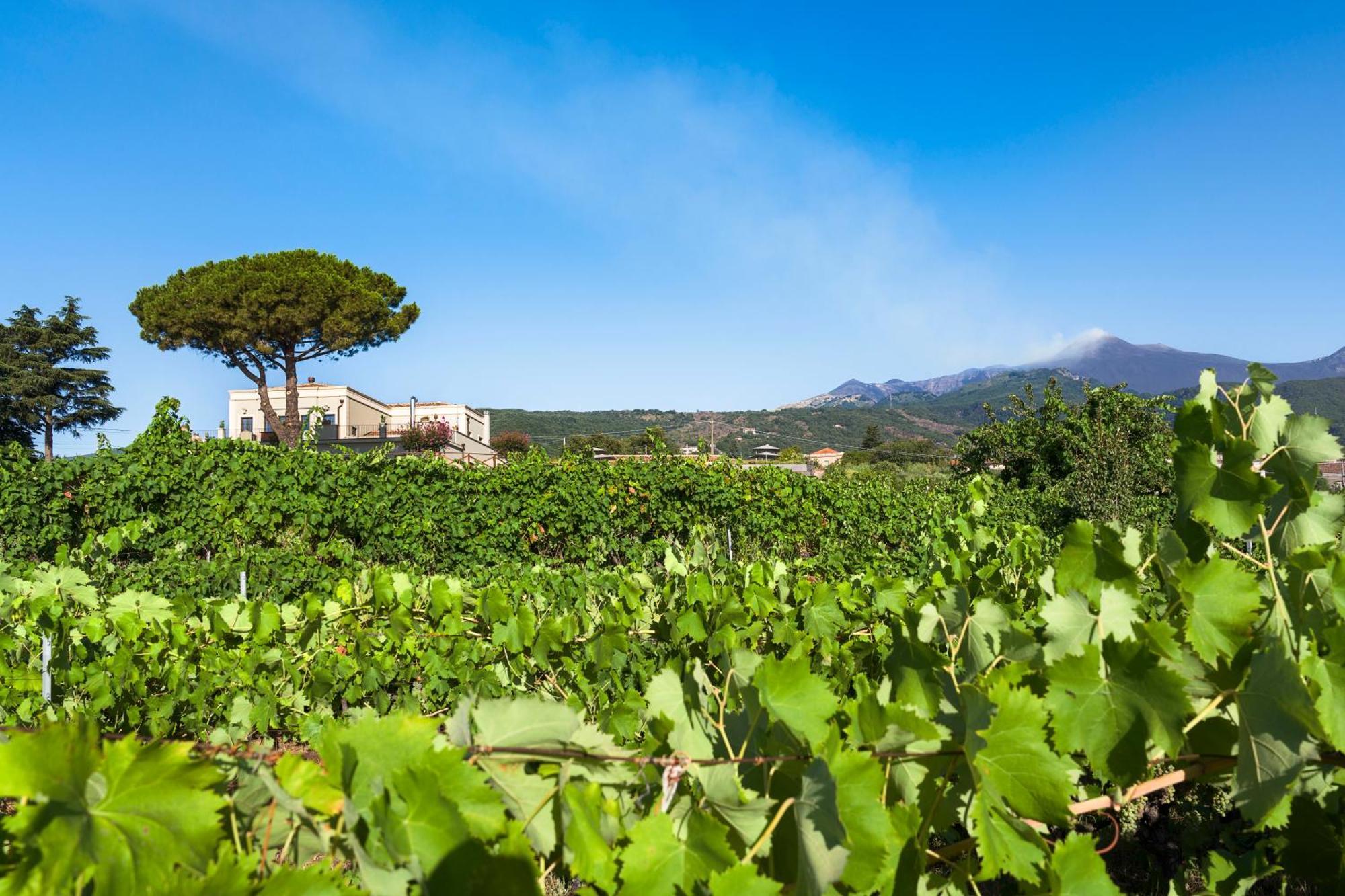 Locanda Quinto Arco Zafferana Etnea Luaran gambar